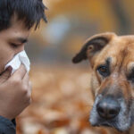 জলাতঙ্ক ( Rabies )